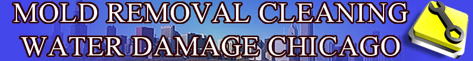 TN services logo